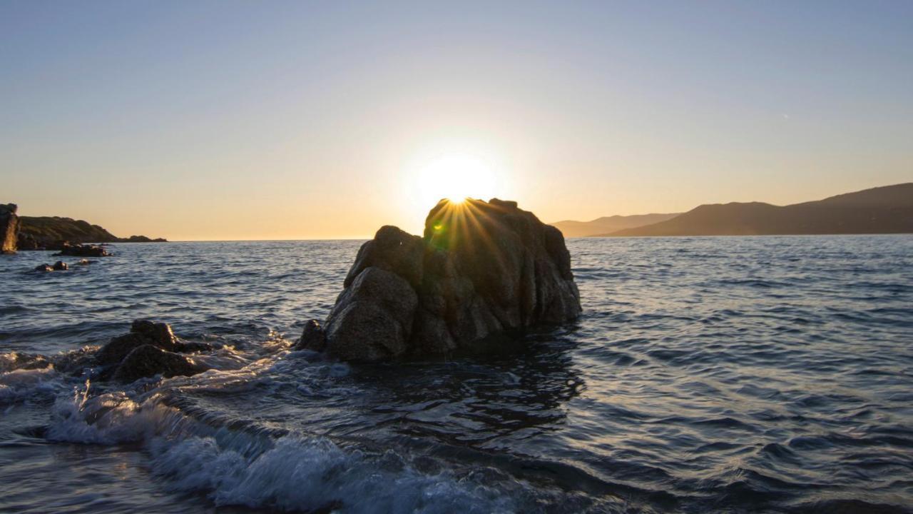 Propriano Proche Port Et Mer 客房 照片
